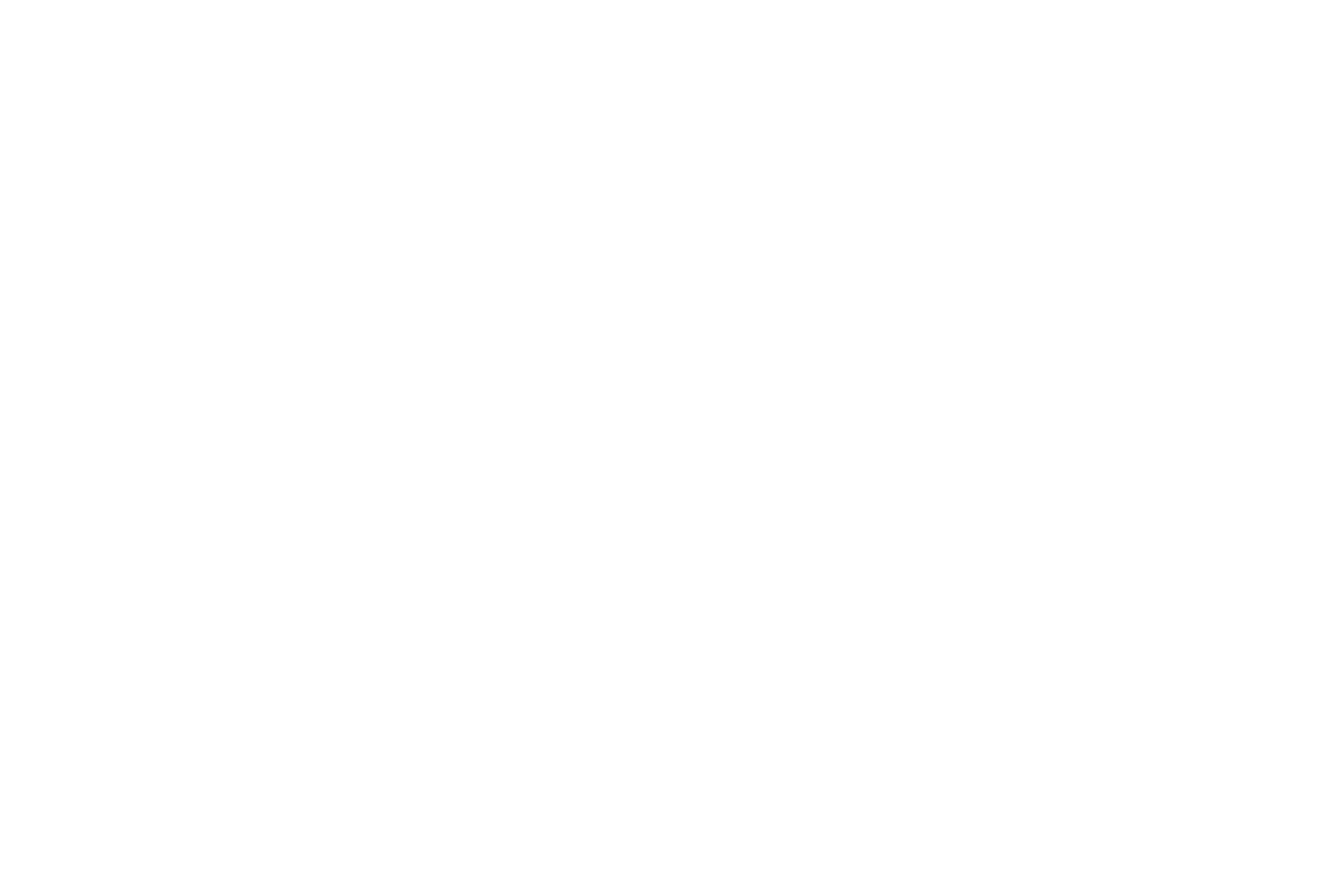 BLACKMES.AI